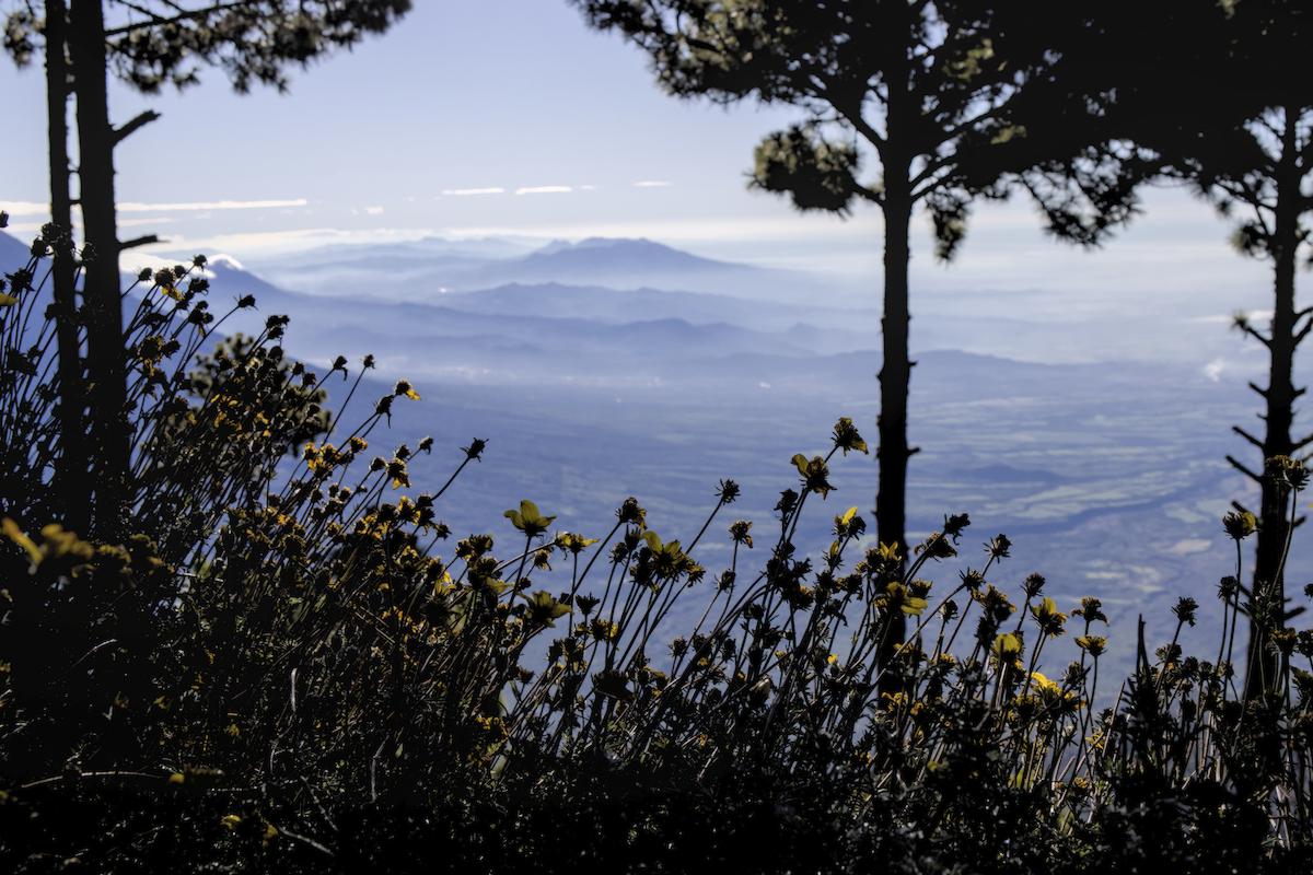 Mountains view